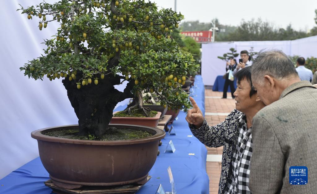 百万炸金花美女